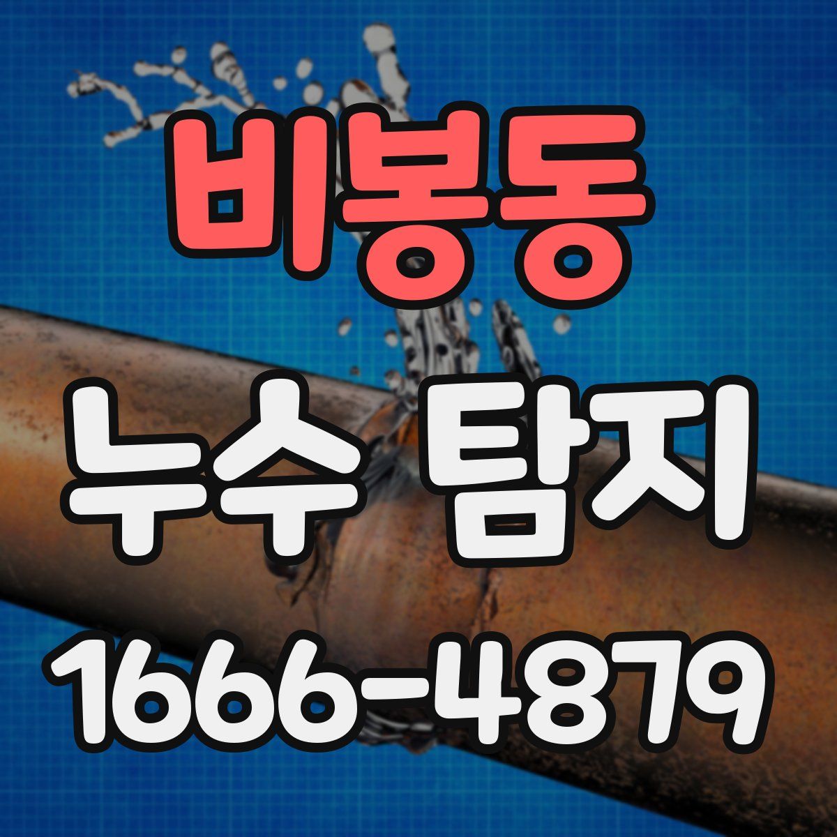 비봉동 누수 탐지
