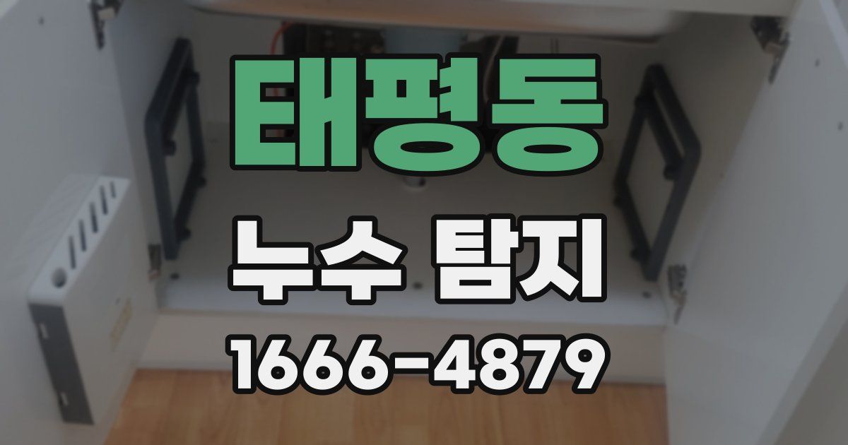 태평동 누수 탐지