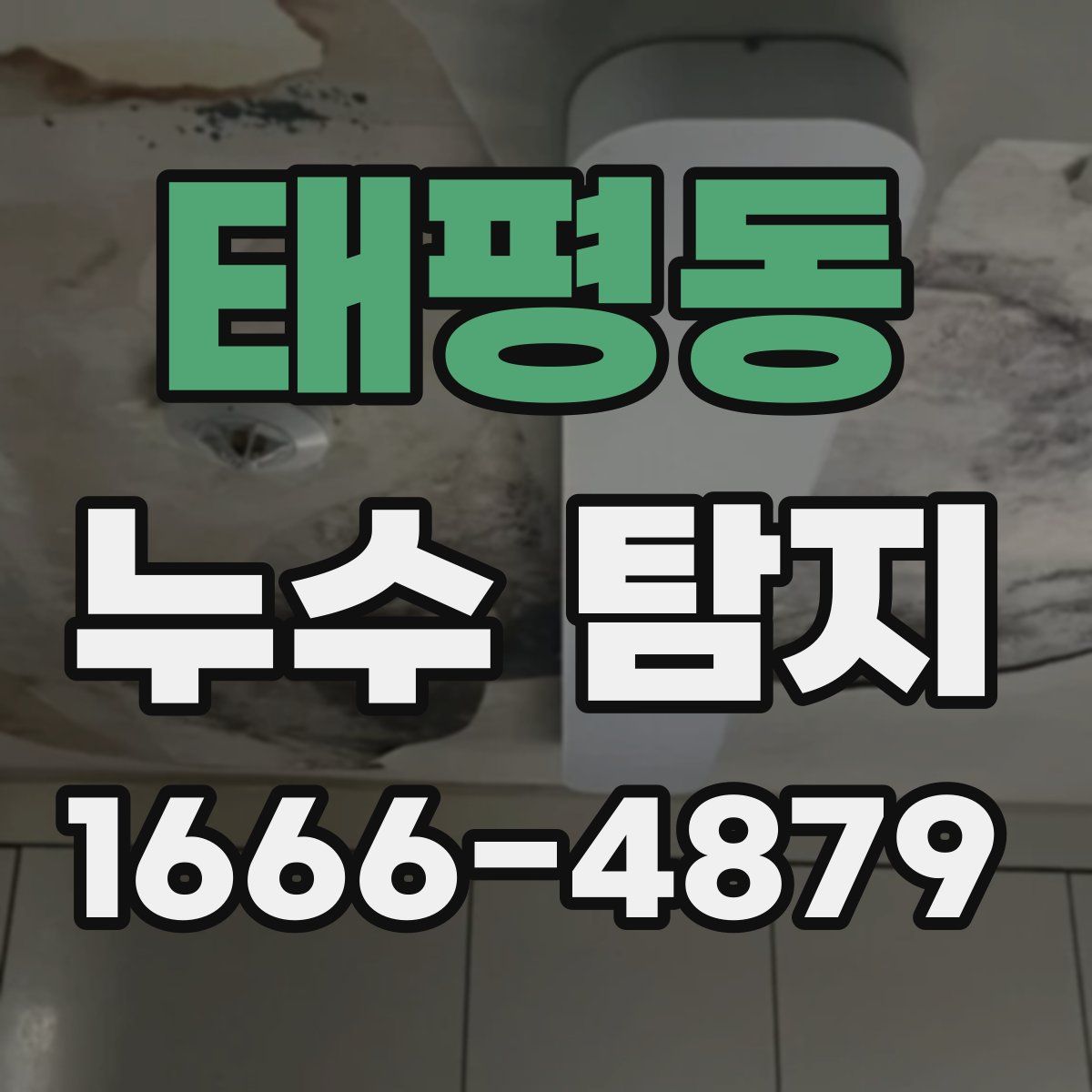 태평동 누수 탐지
