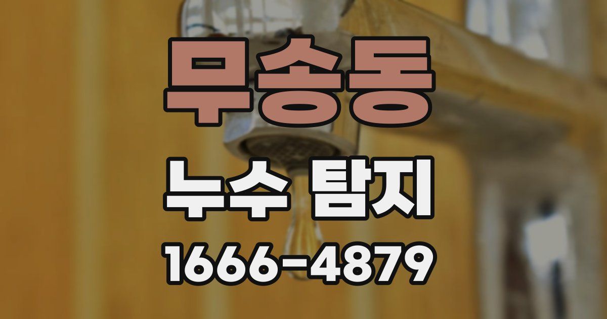 무송동 누수 탐지
