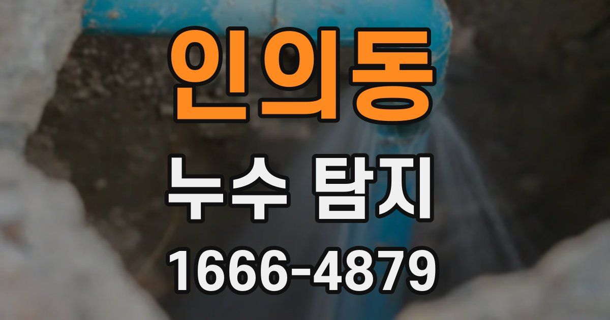 인의동 누수 탐지