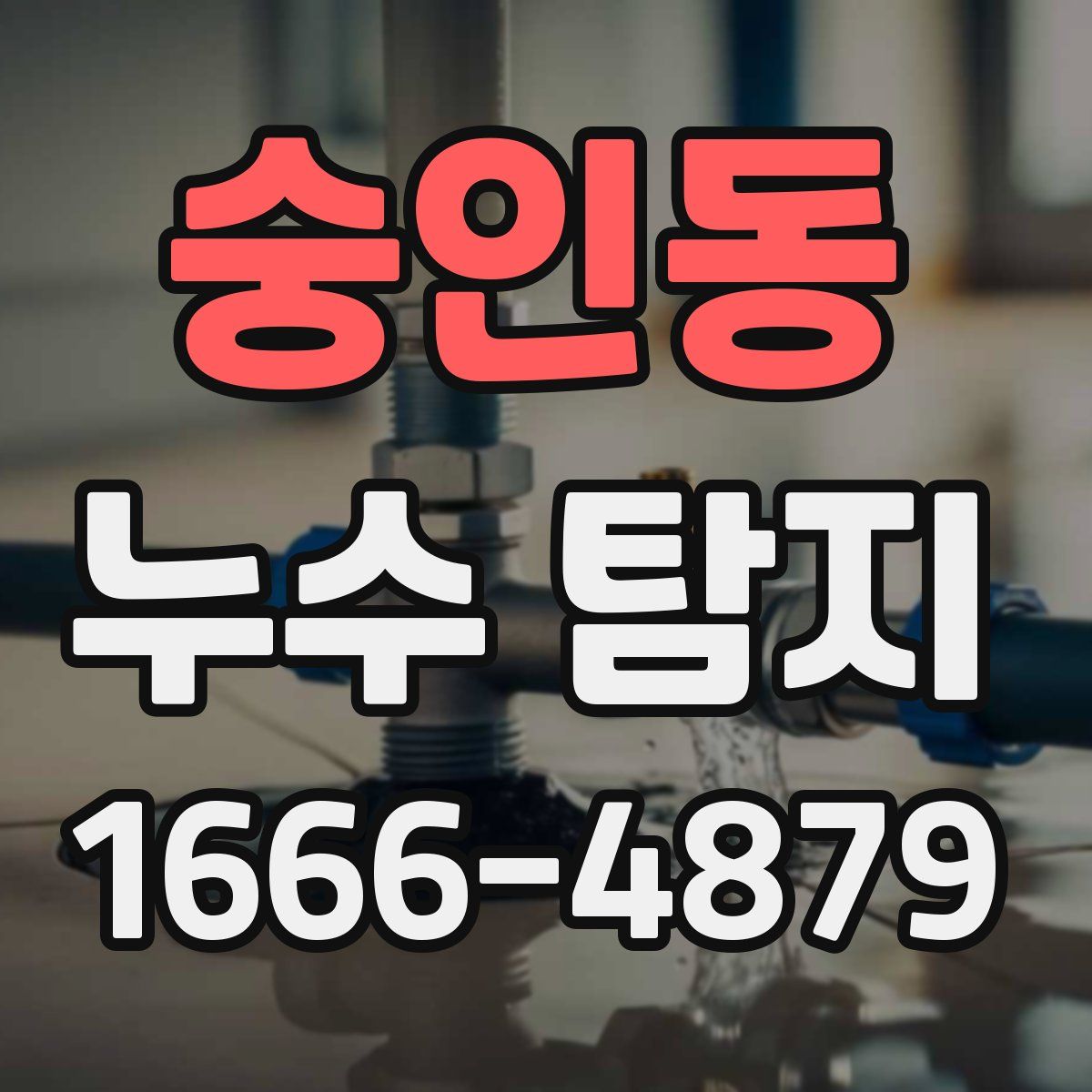 숭인동 누수 탐지