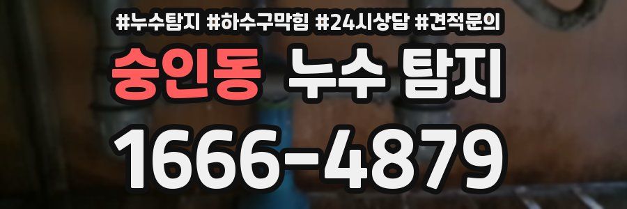 숭인동 누수 탐지