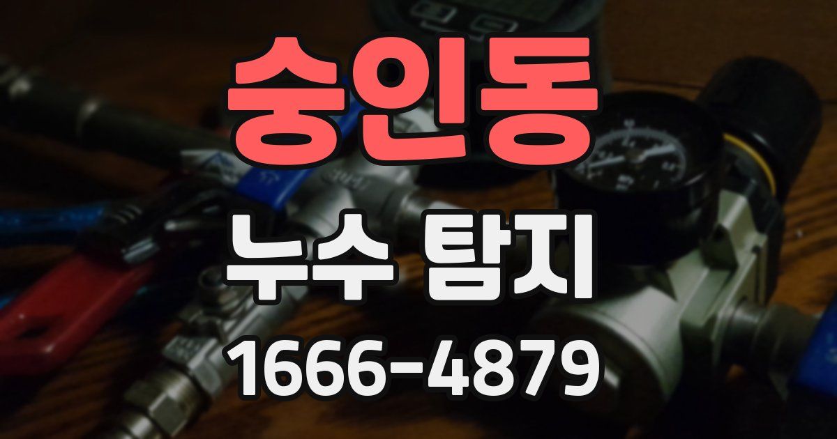 숭인동 누수 탐지