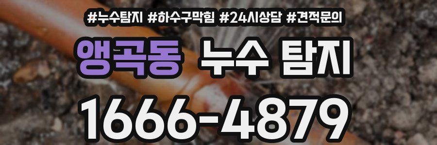 앵곡동 누수 탐지