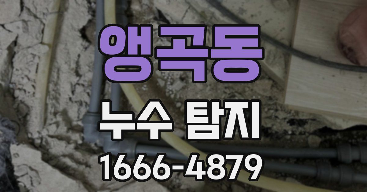 앵곡동 누수 탐지