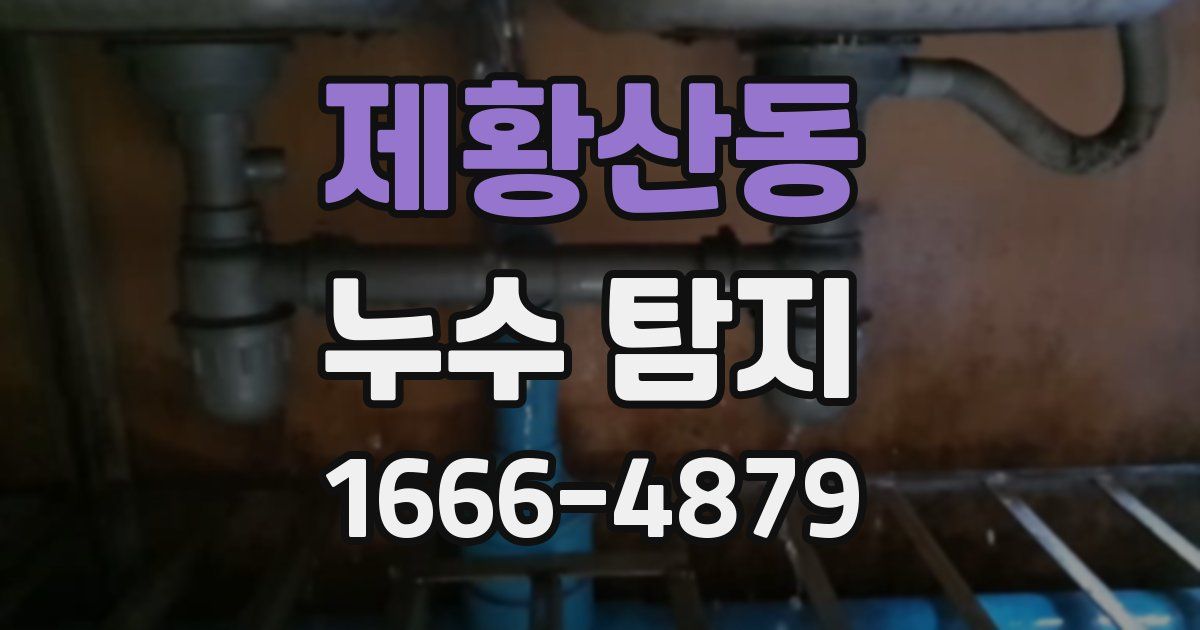 제황산동 누수 탐지