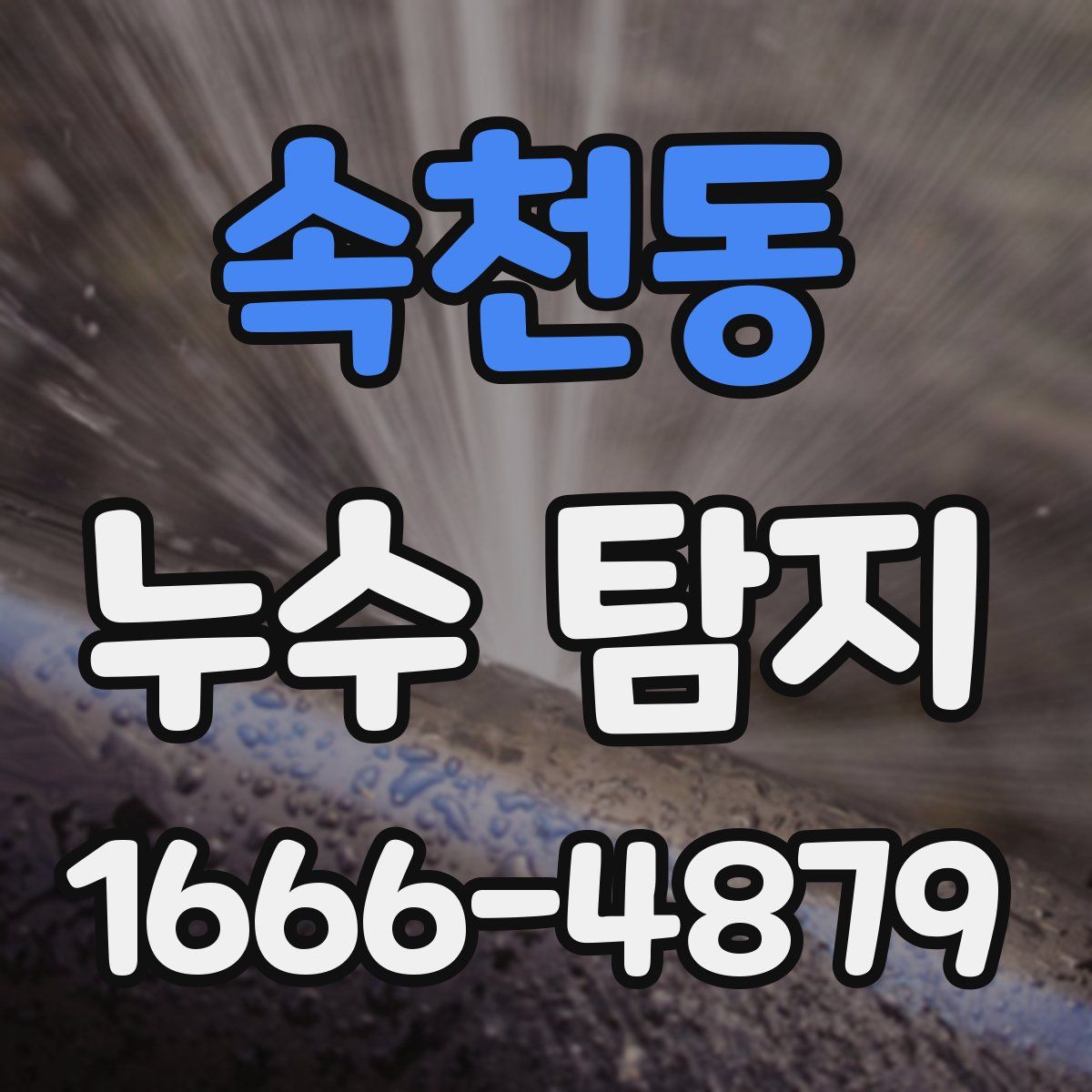 속천동 누수 탐지