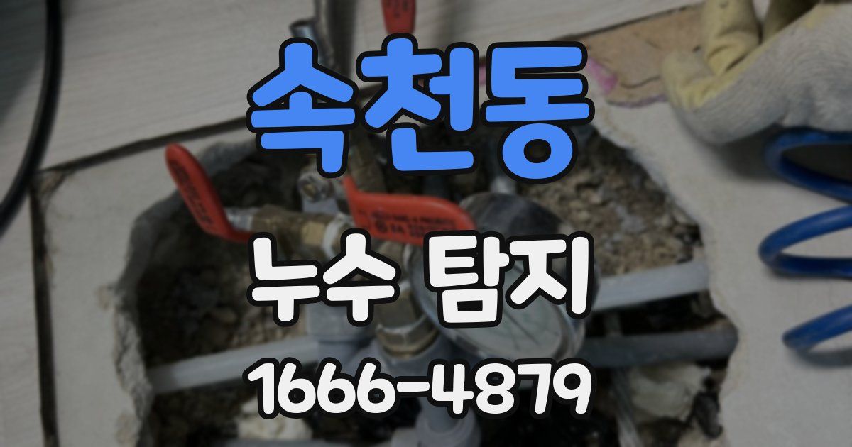 속천동 누수 탐지