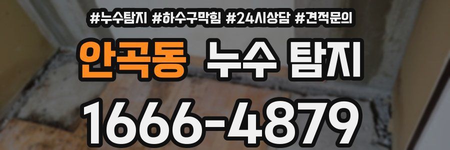 안곡동 누수 탐지