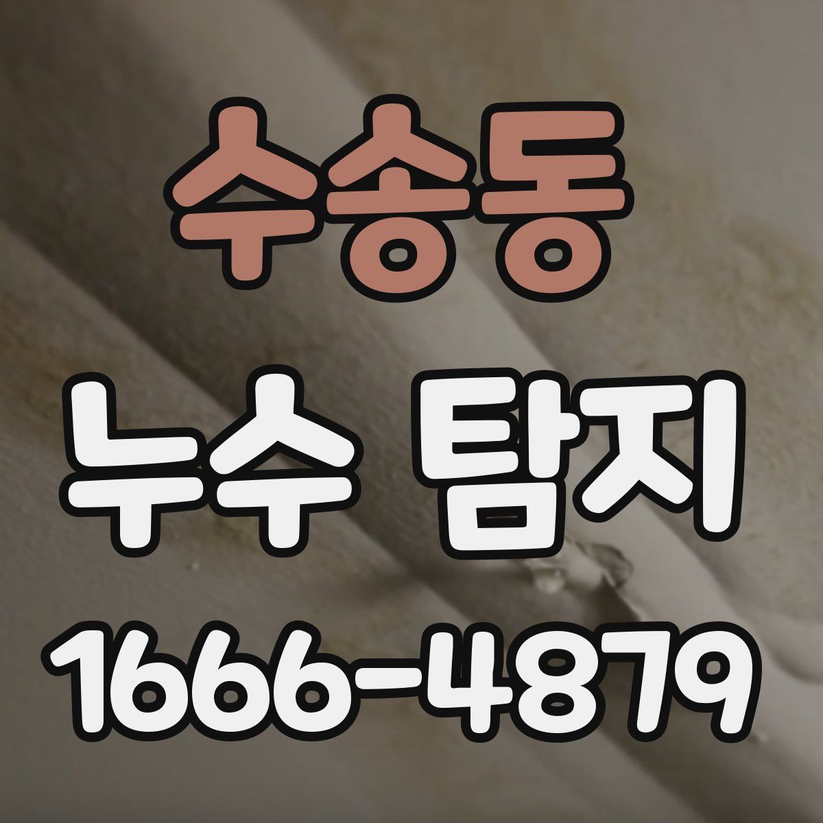 수송동 누수 탐지