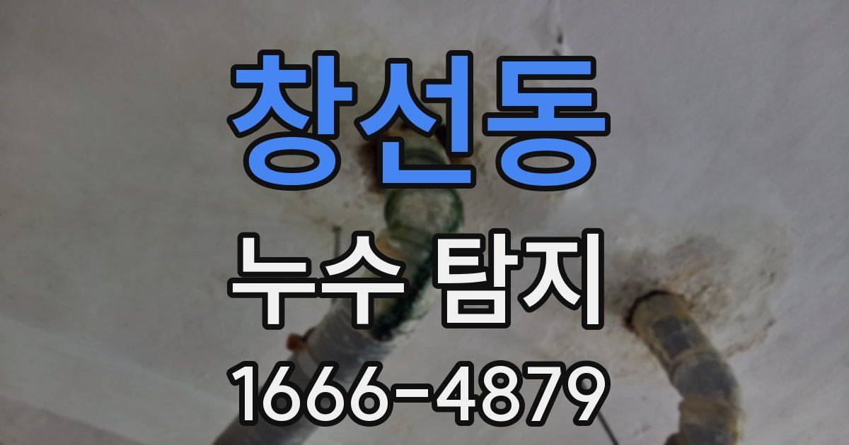창선동 누수 탐지