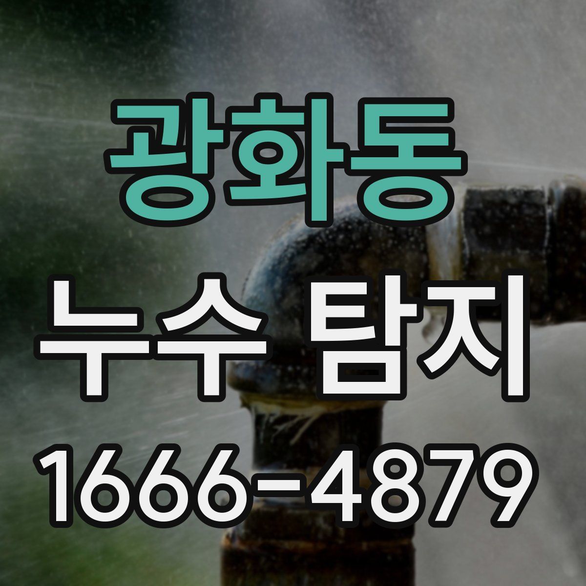 광화동 누수 탐지