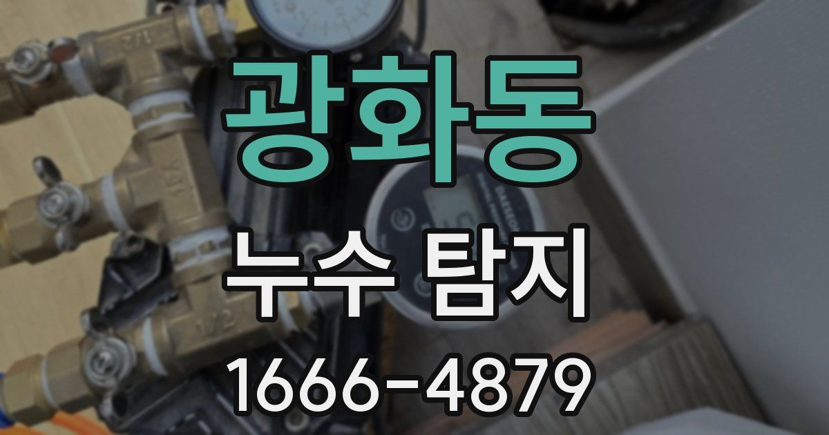 광화동 누수 탐지