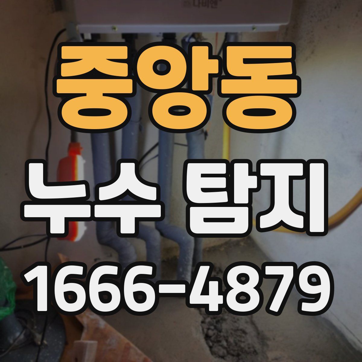 중앙동 누수 탐지