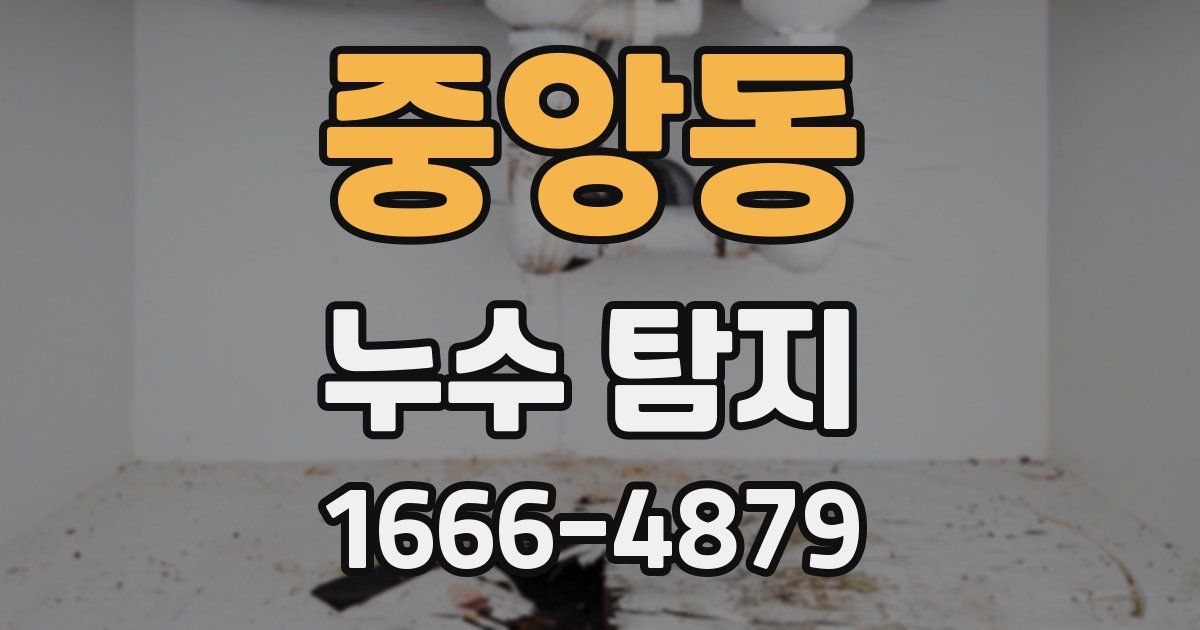 중앙동 누수 탐지