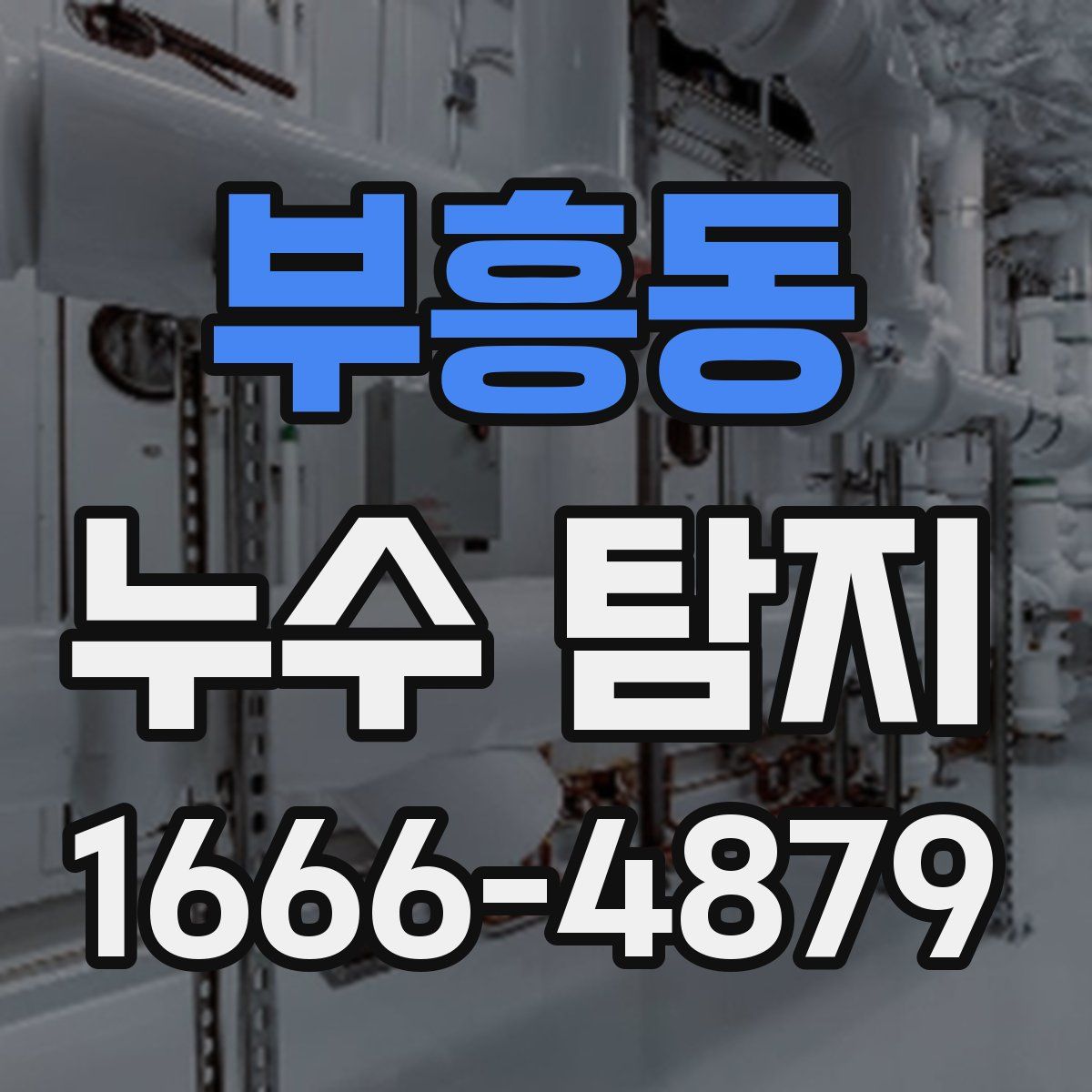 부흥동 누수 탐지