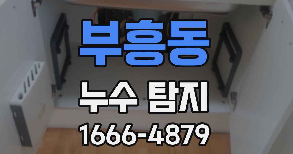 부흥동 누수 탐지