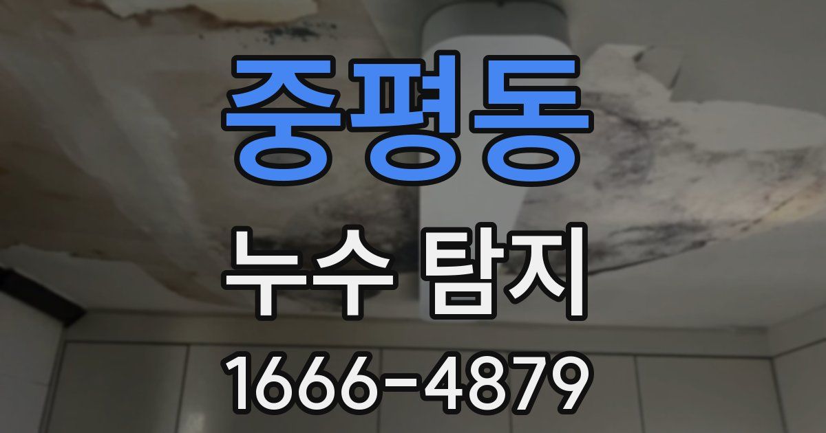 중평동 누수 탐지