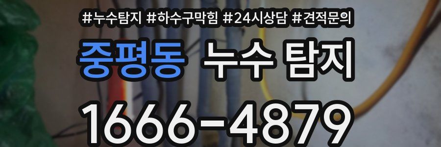 중평동 누수 탐지