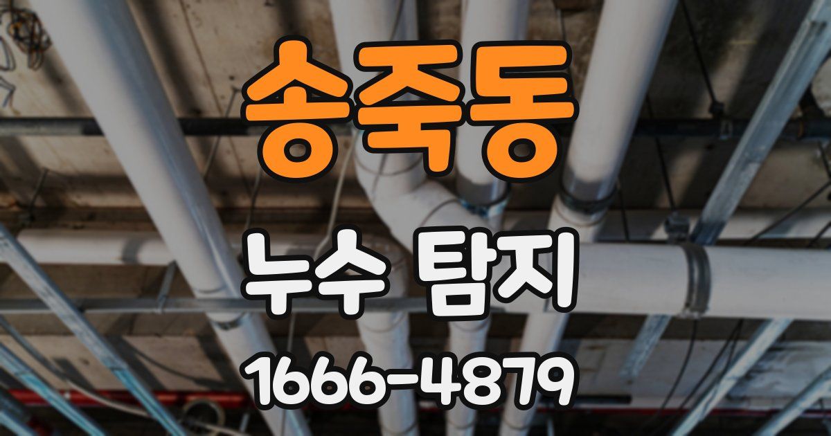송죽동 누수 탐지