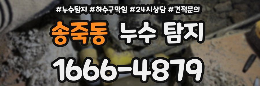 송죽동 누수 탐지