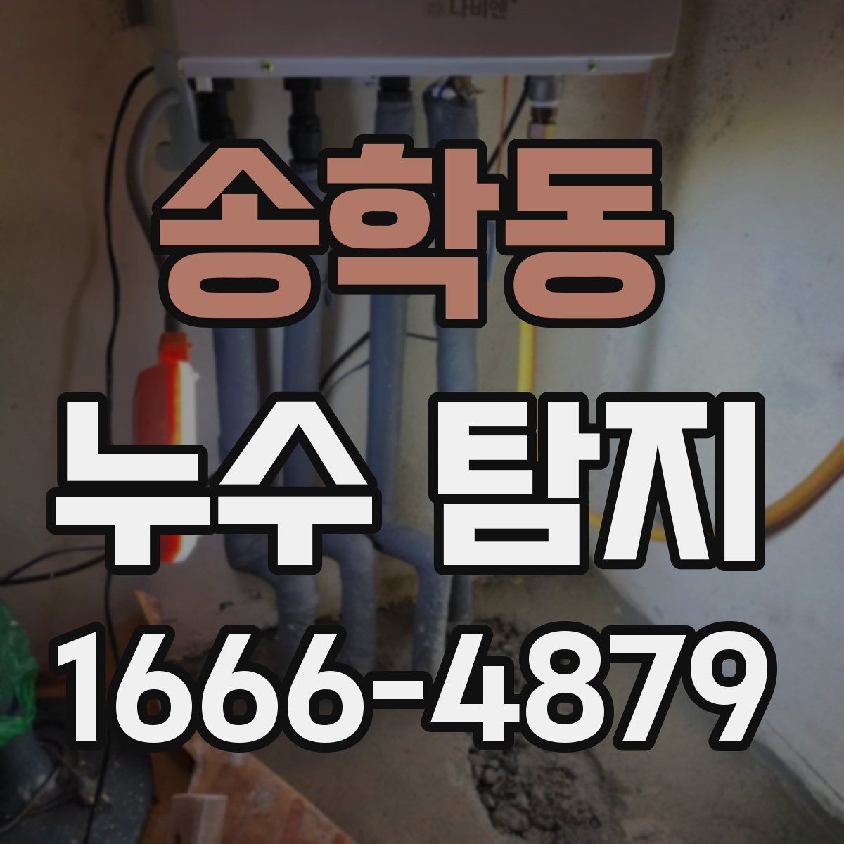 송학동 누수 탐지