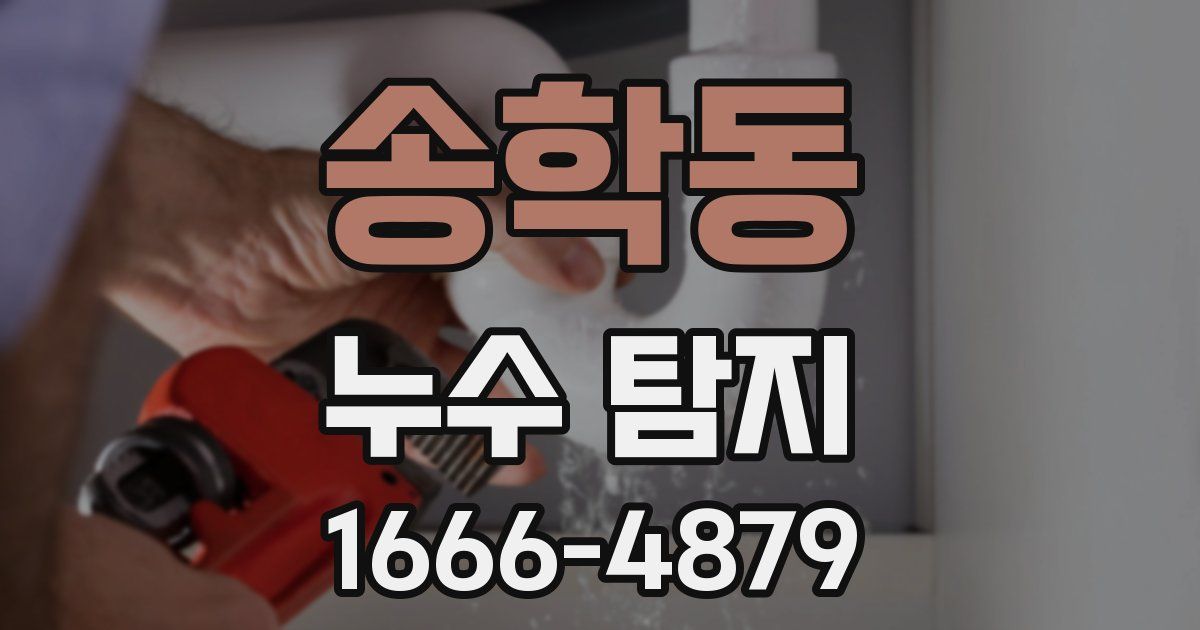 송학동 누수 탐지