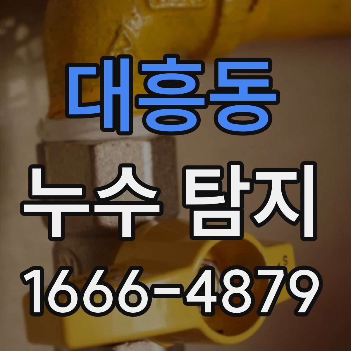 대흥동 누수 탐지