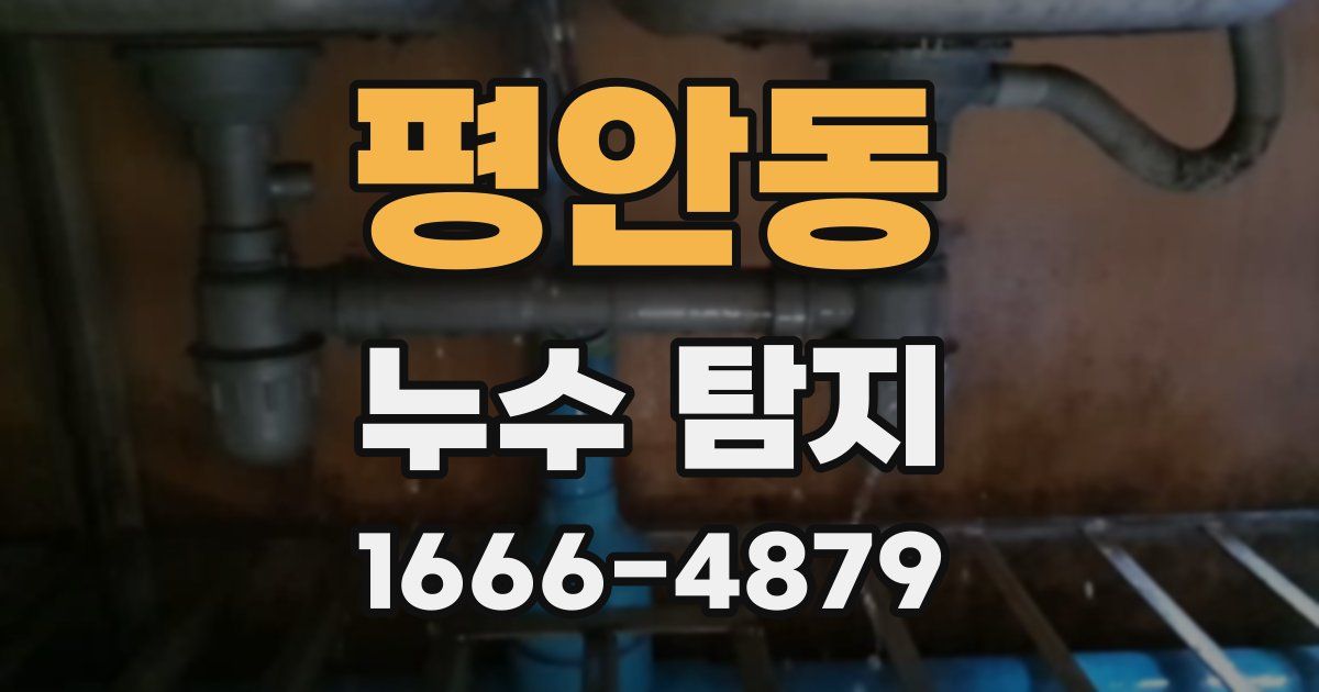 평안동 누수 탐지