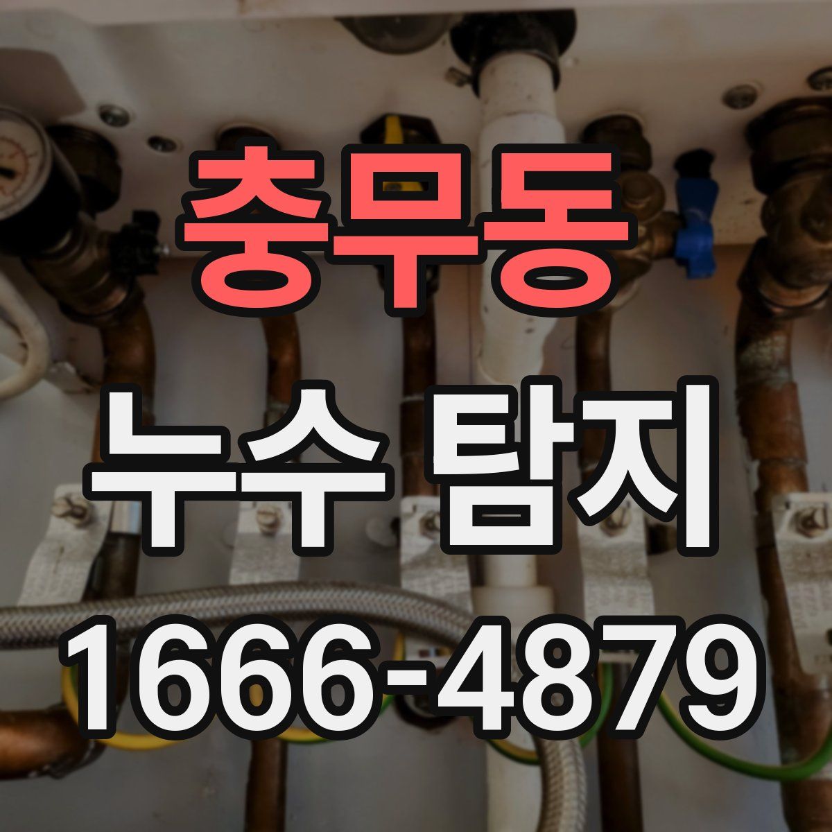 충무동 누수 탐지