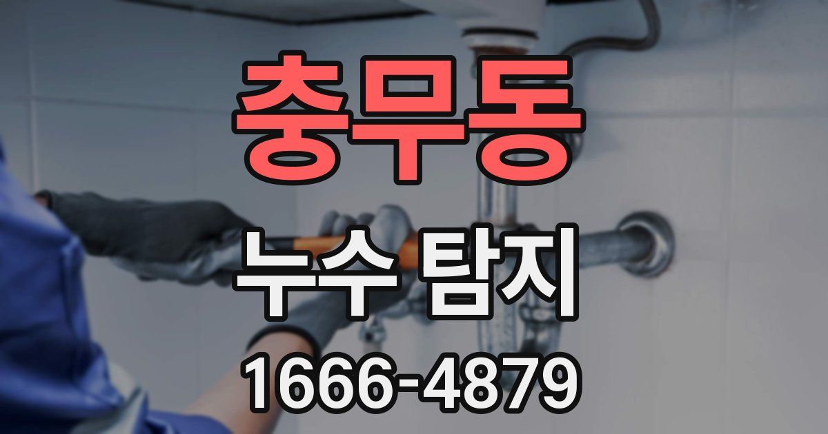 충무동 누수 탐지