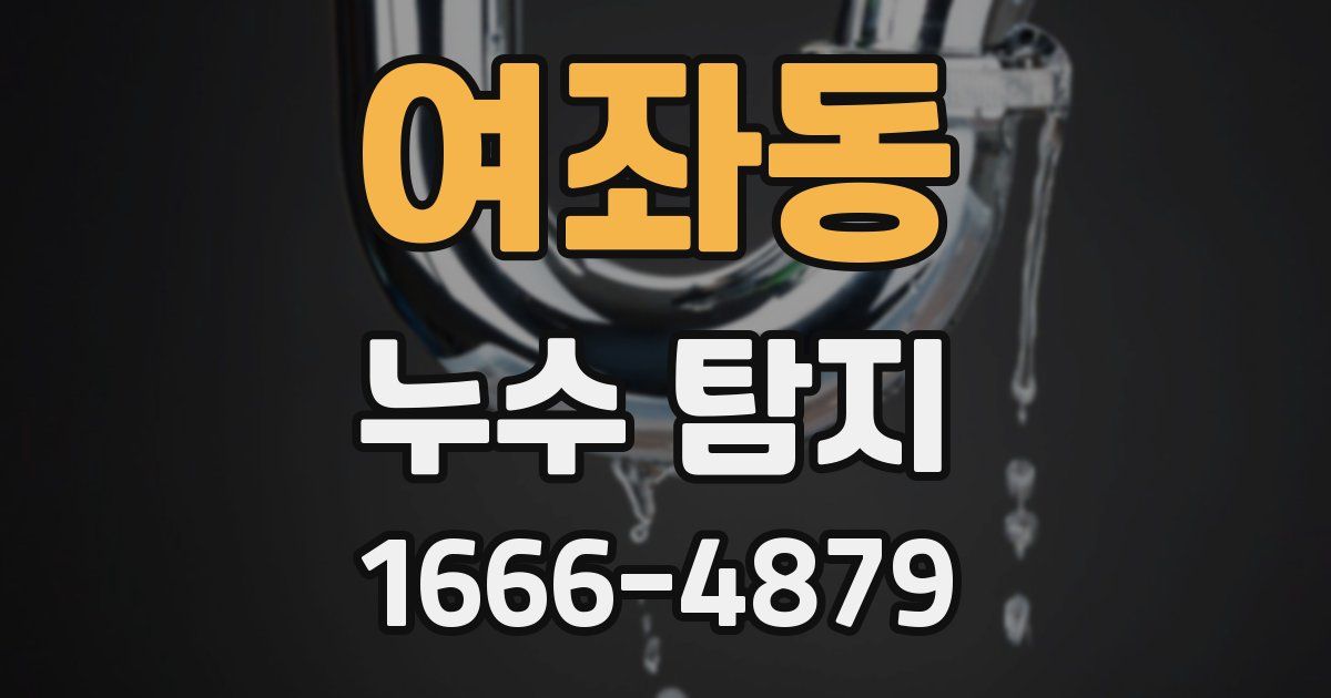 여좌동 누수 탐지