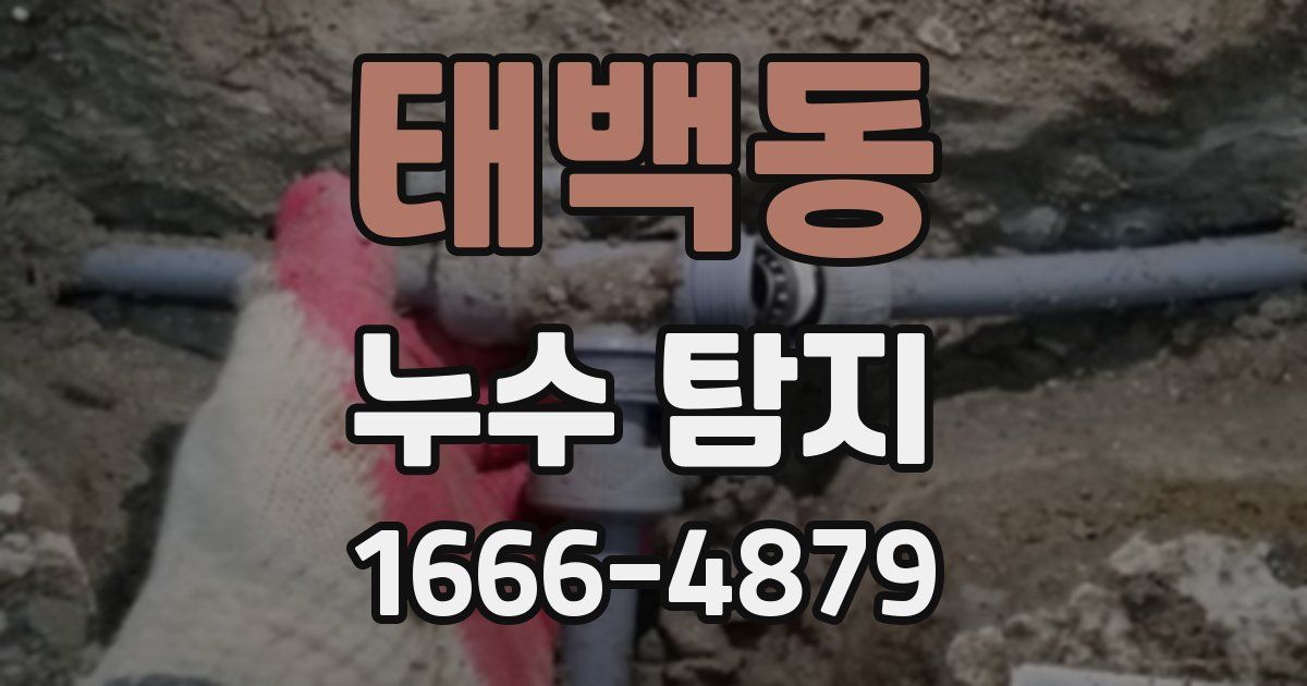 태백동 누수 탐지