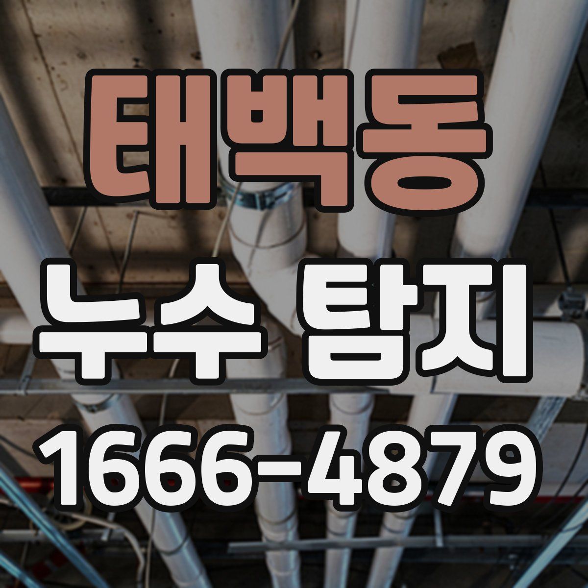 태백동 누수 탐지
