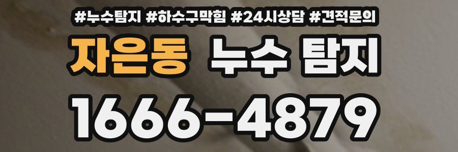 자은동 누수 탐지