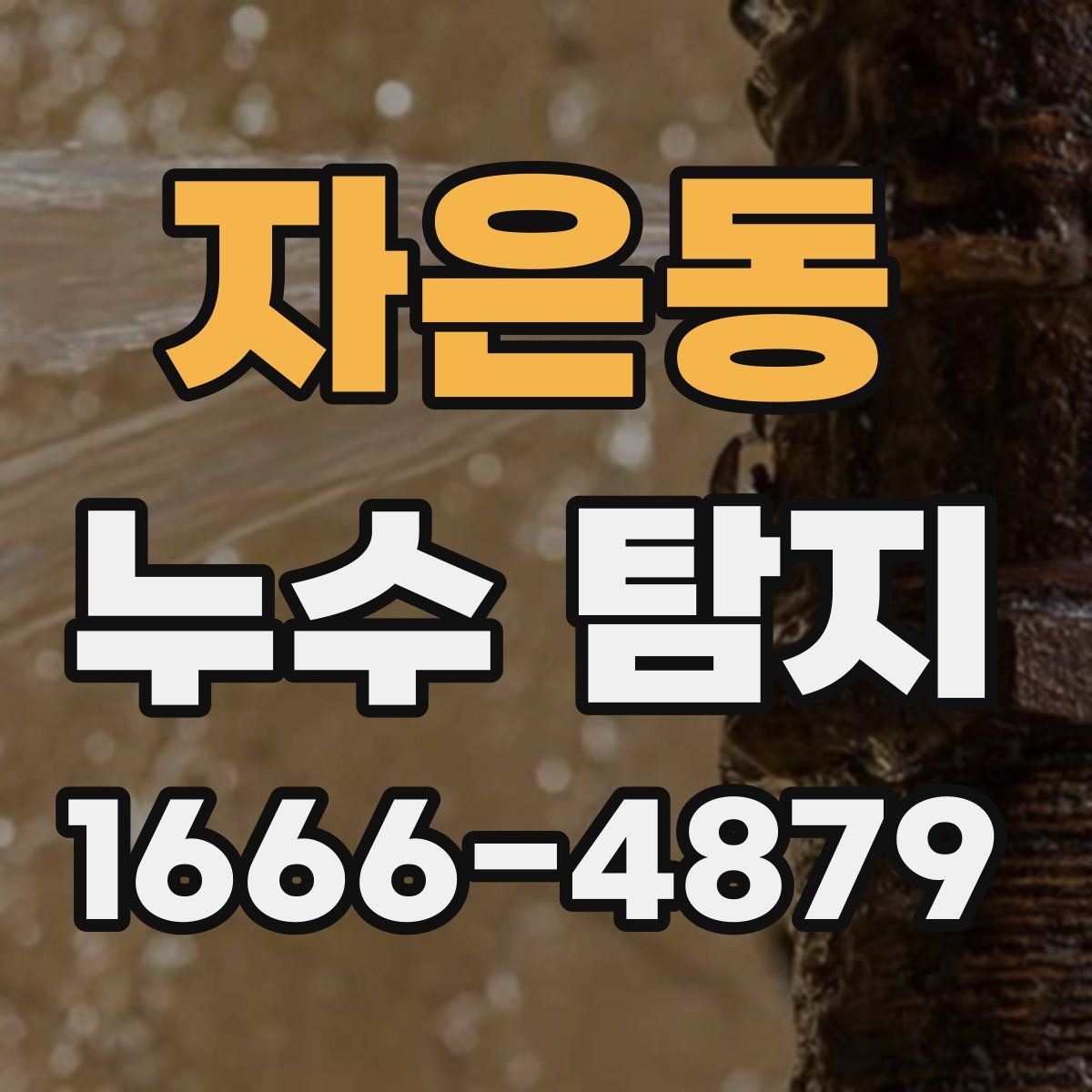 자은동 누수 탐지