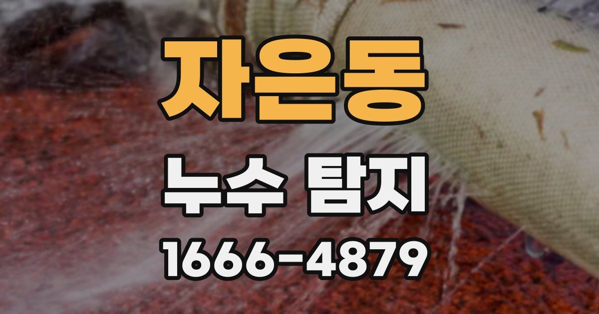 자은동 누수 탐지