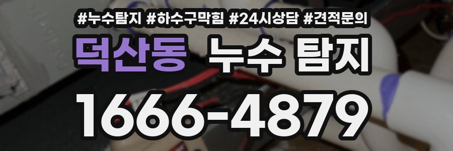 덕산동 누수 탐지