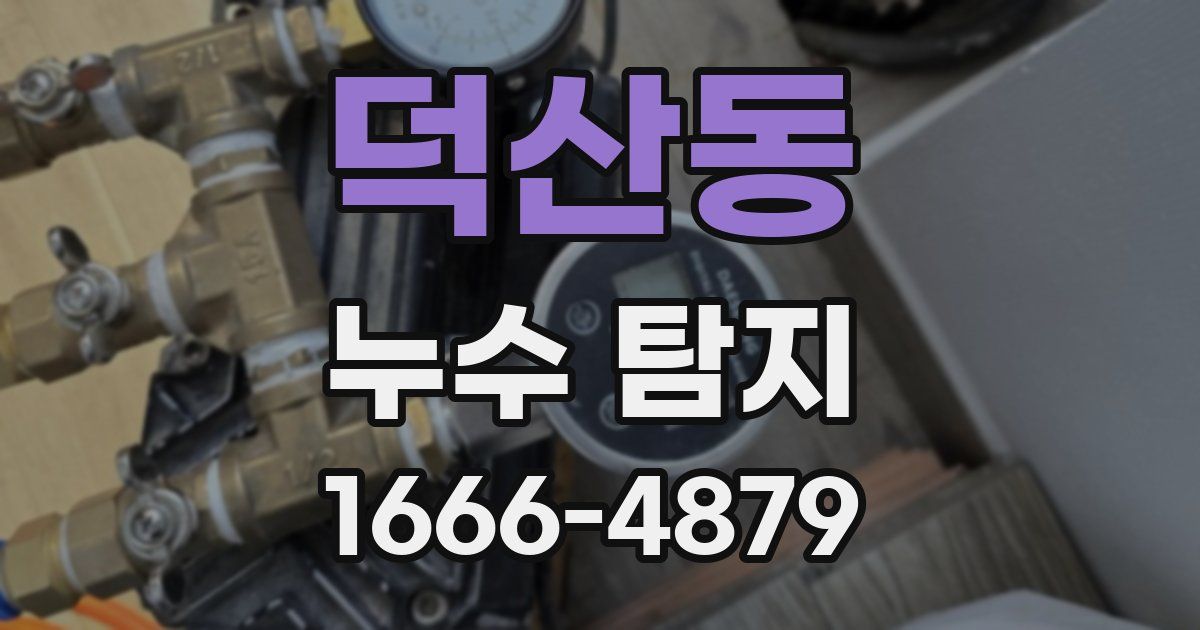 덕산동 누수 탐지