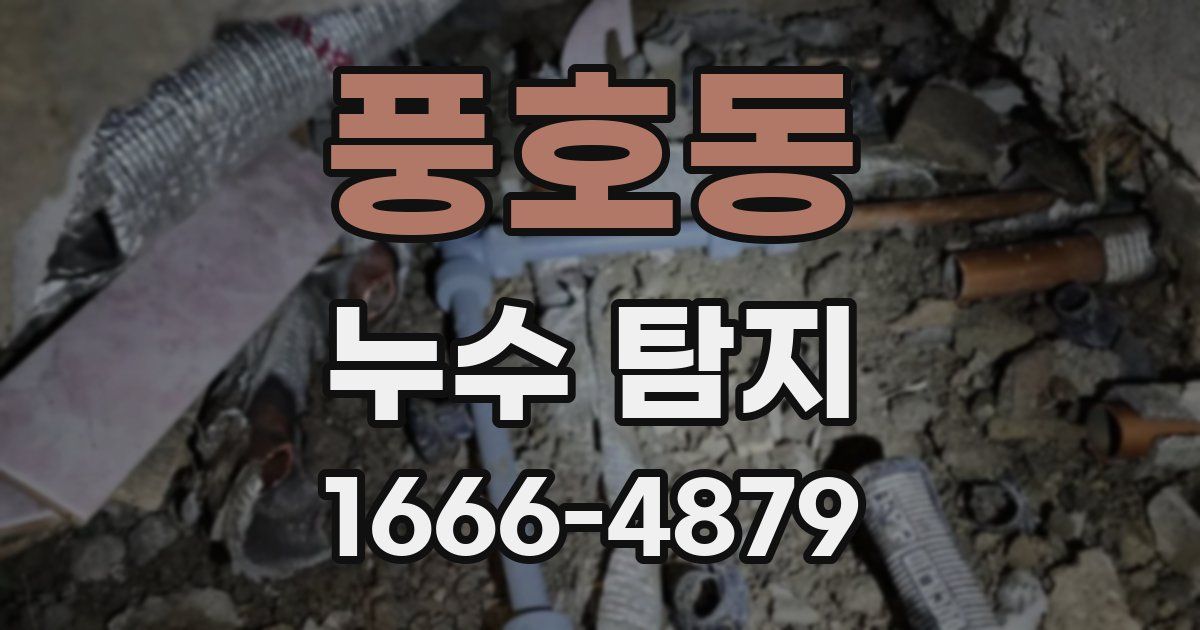 풍호동 누수 탐지