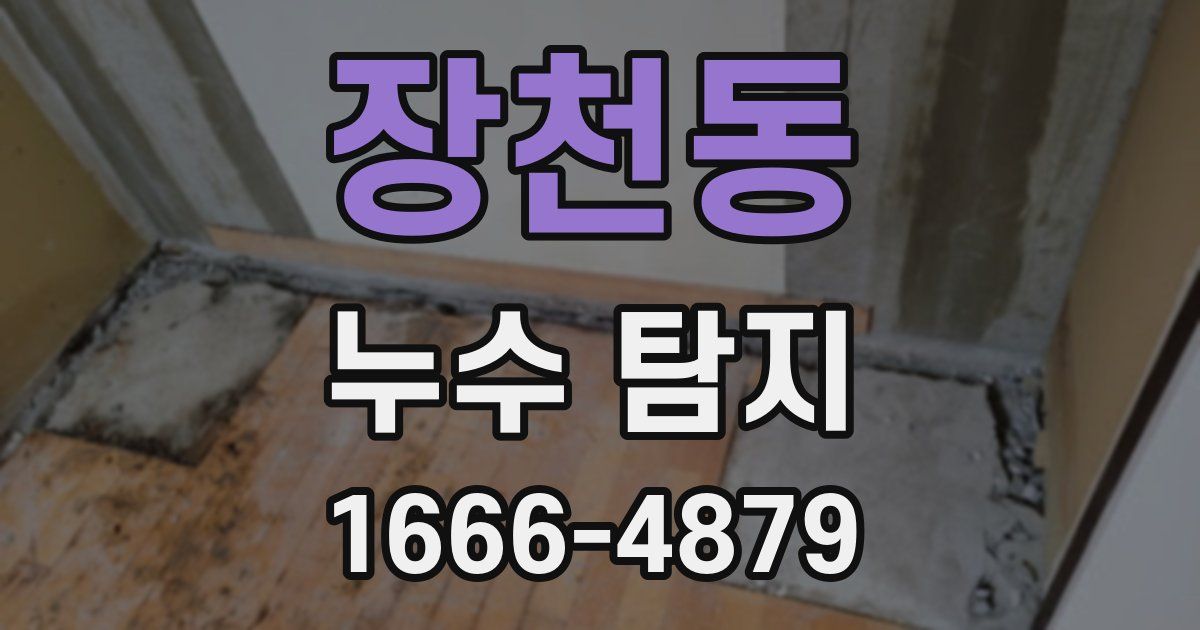 장천동 누수 탐지