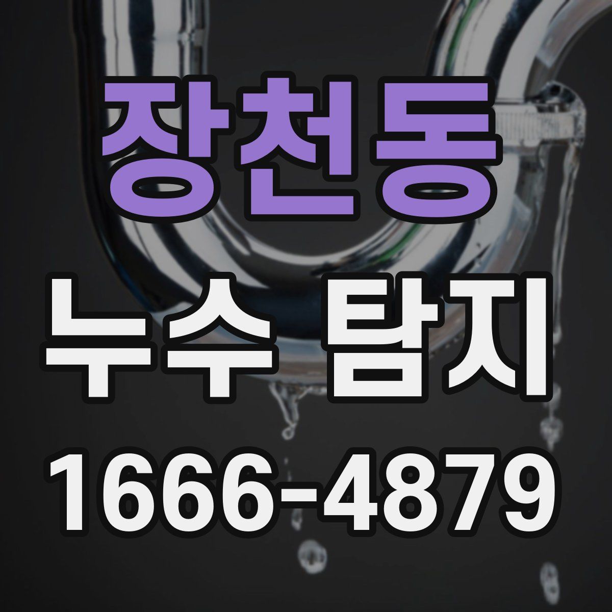 장천동 누수 탐지