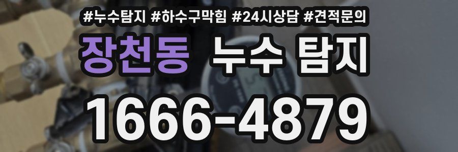 장천동 누수 탐지