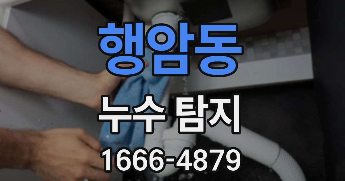 행암동 누수 탐지