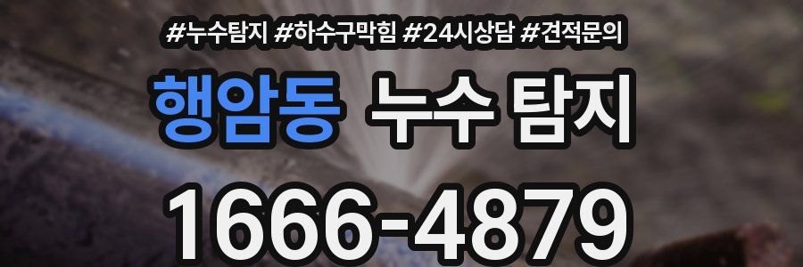 행암동 누수 탐지