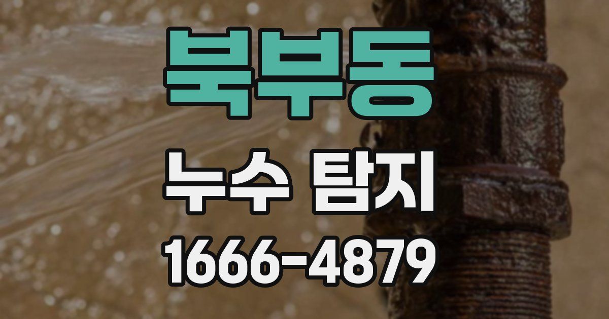 북부동 누수 탐지