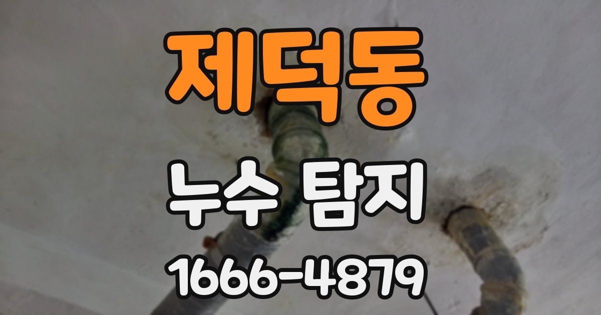 제덕동 누수 탐지