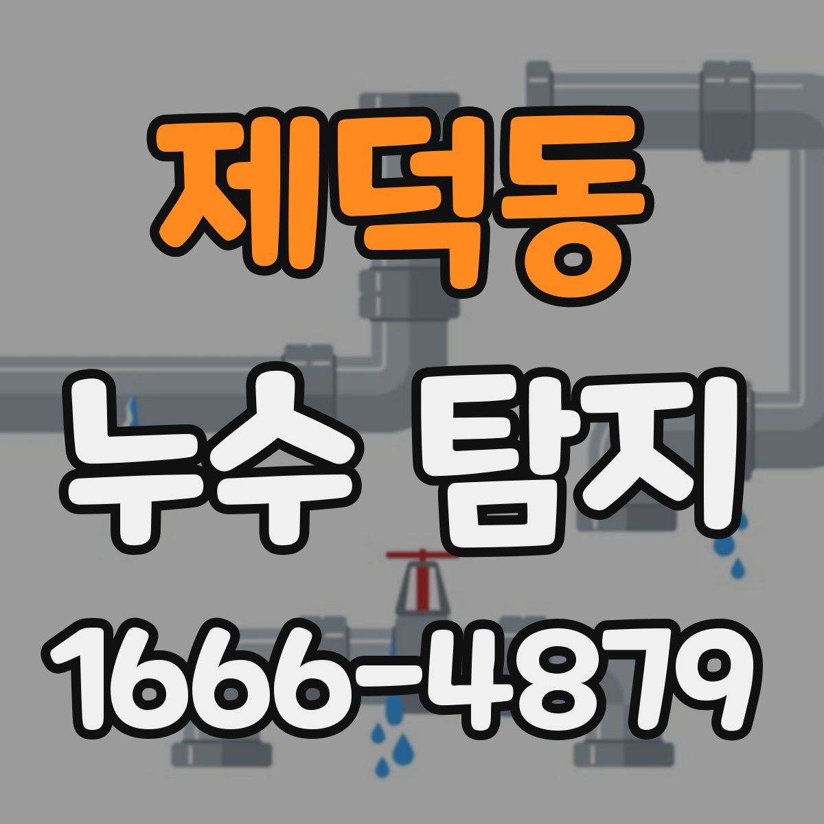 제덕동 누수 탐지
