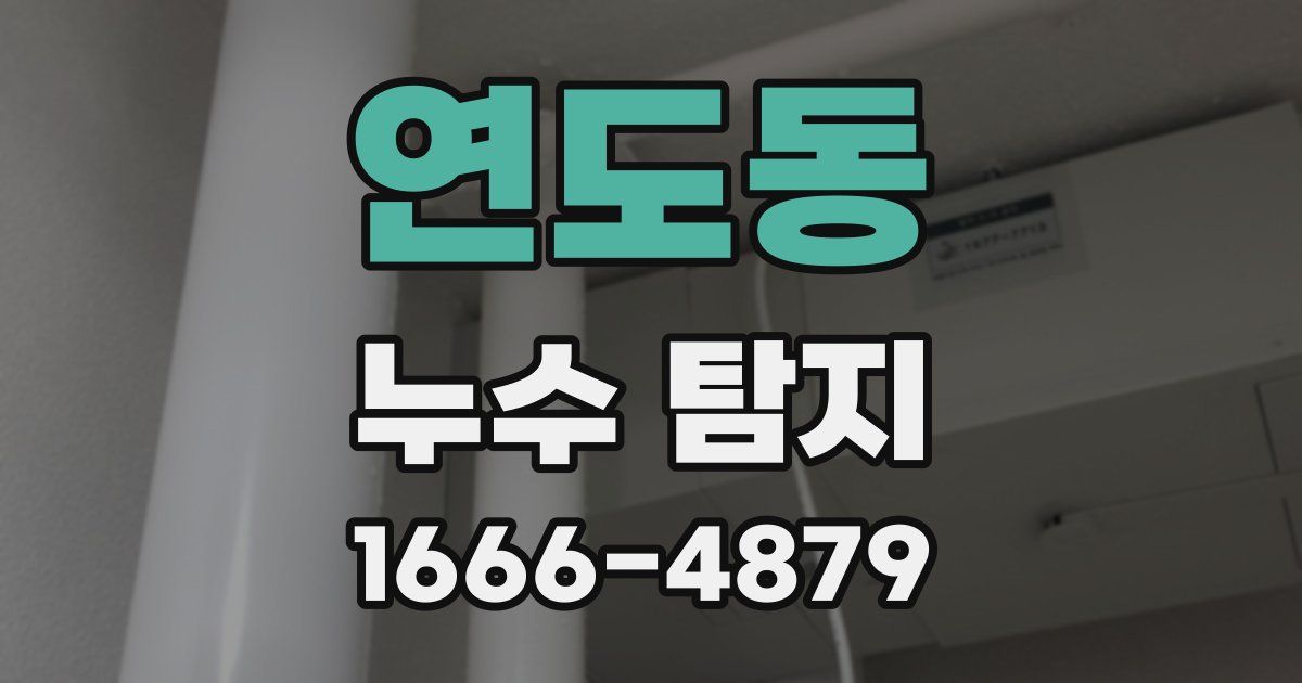 연도동 누수 탐지